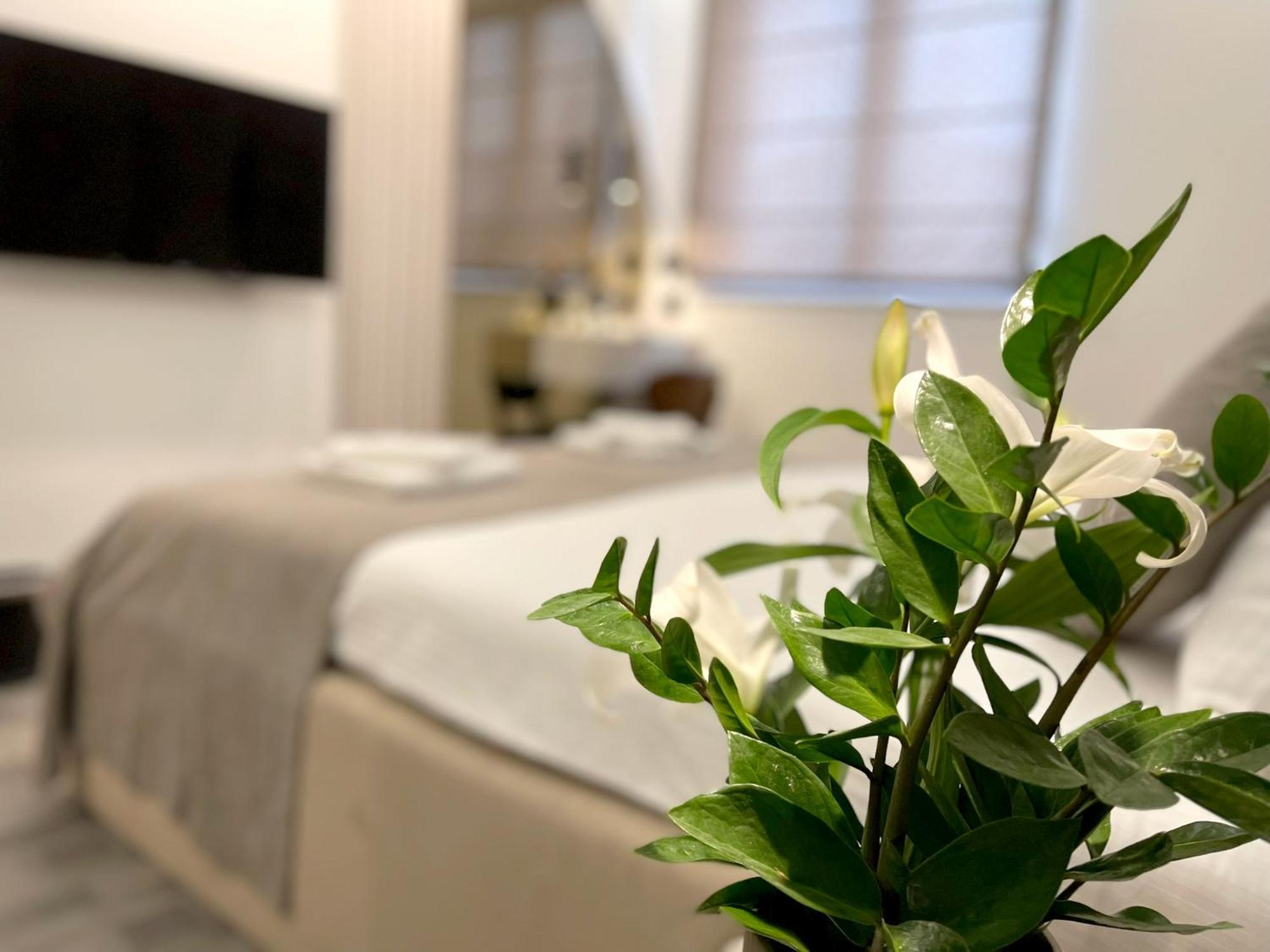 Npl Code Bed & Breakfast Naselje Starosjedilaca Dış mekan fotoğraf